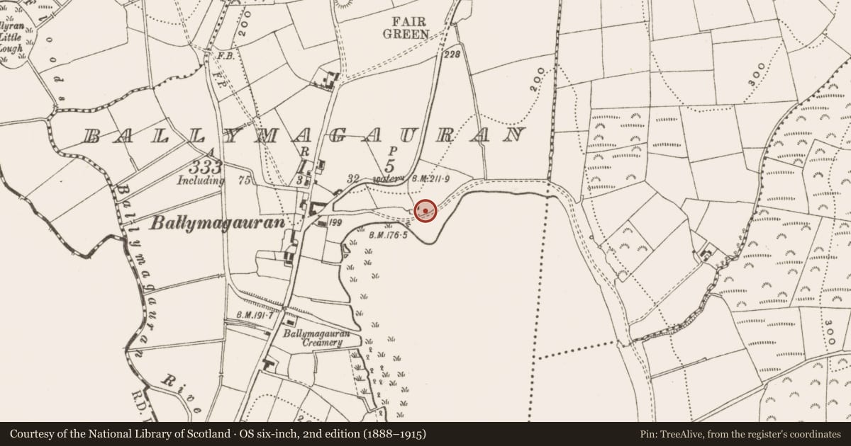 Ordnance Survey six-inch map, 2nd edition (1888–1915) covering the location of Stone head, Ballymagauran, County Cavan, with a pin at the register's coordinates