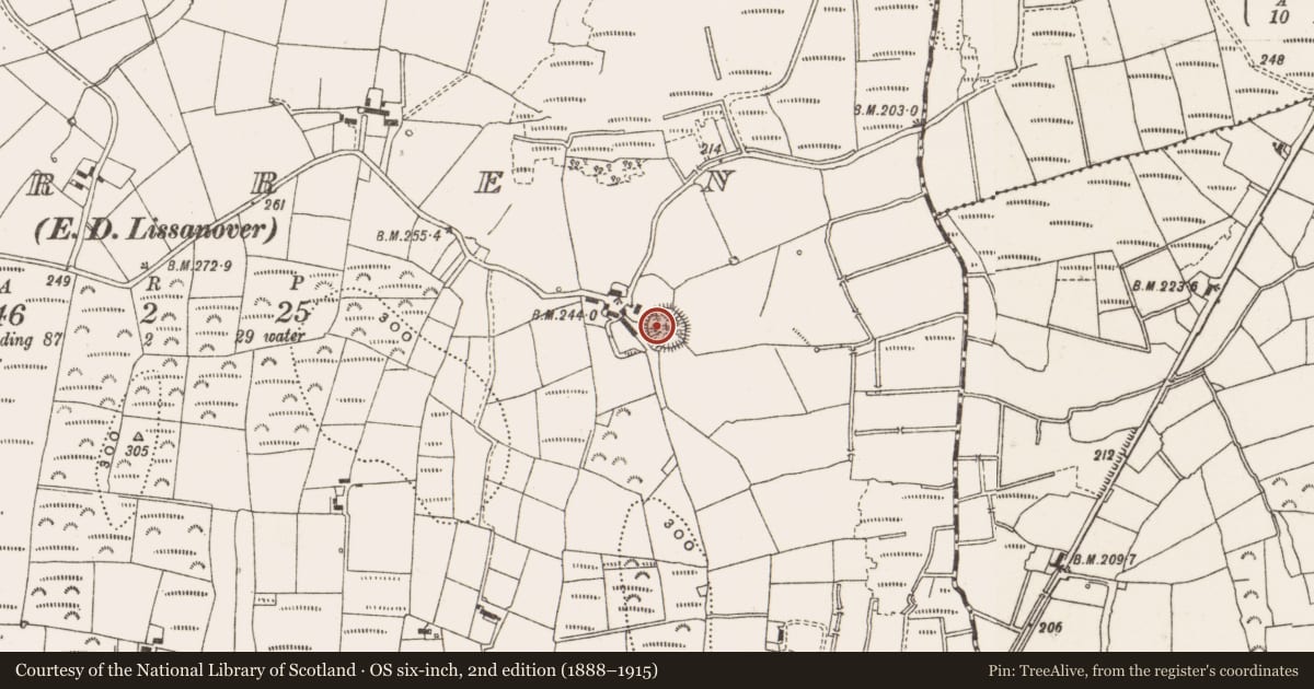 Ordnance Survey six-inch map, 2nd edition (1888–1915) covering the location of Ringfort - rath, Burren, County Cavan, with a pin at the register's coordinates