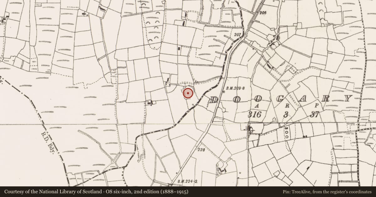 Ordnance Survey six-inch map, 2nd edition (1888–1915) covering the location of Ringfort - rath, Burren, County Cavan, with a pin at the register's coordinates