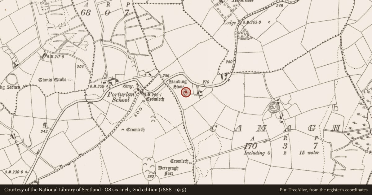 Ordnance Survey six-inch map, 2nd edition (1888–1915) covering the location of Standing stone, Camagh, County Cavan, with a pin at the register's coordinates