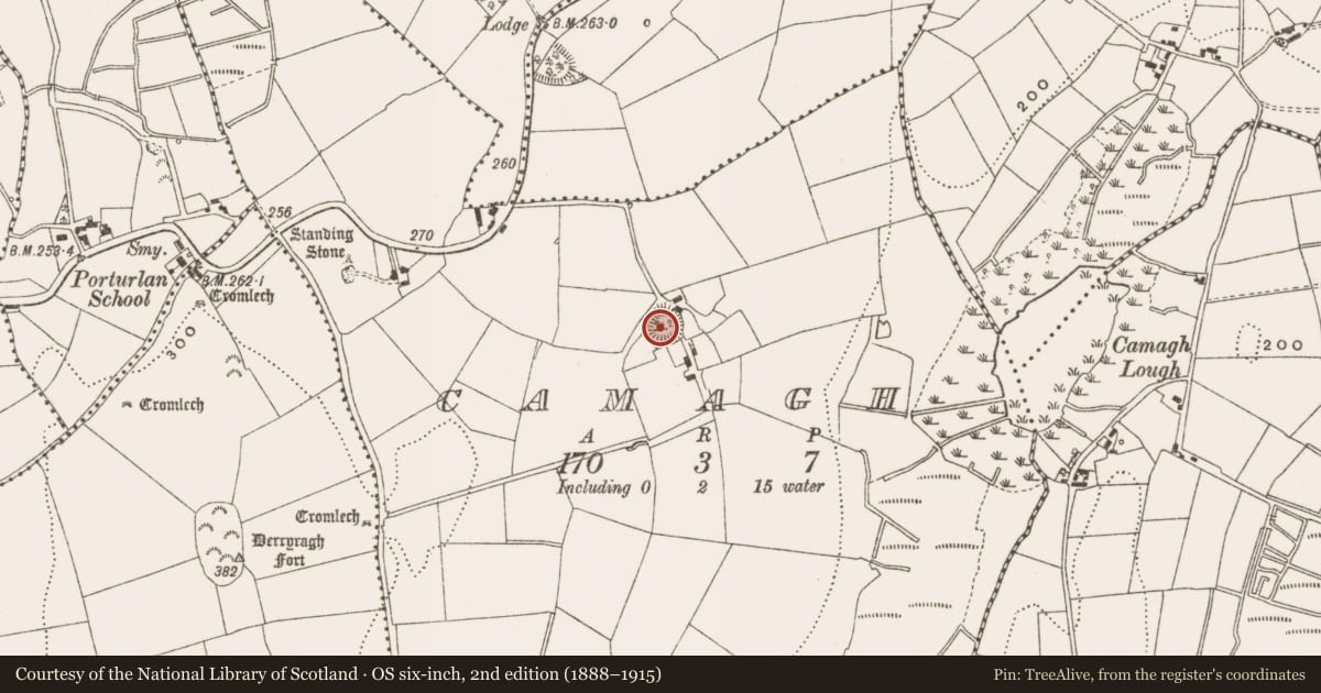 Ordnance Survey six-inch map, 2nd edition (1888–1915) covering the location of Ringfort - rath, Camagh, County Cavan, with a pin at the register's coordinates