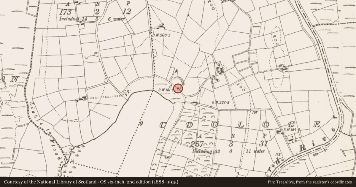 Ordnance Survey six-inch map, 2nd edition (1888–1915) covering the location of Ringfort - rath, Coologe, County Cavan, with a pin at the register's coordinates