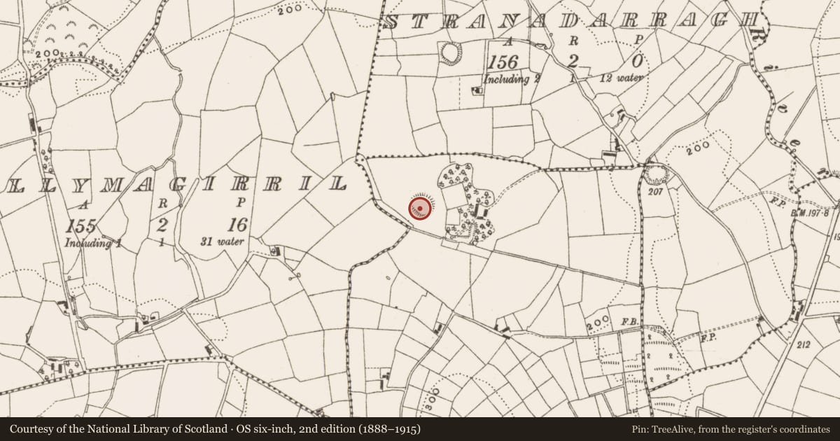 Ordnance Survey six-inch map, 2nd edition (1888–1915) covering the location of Ringfort - rath, Cornagunleog, County Cavan, with a pin at the register's coordinates