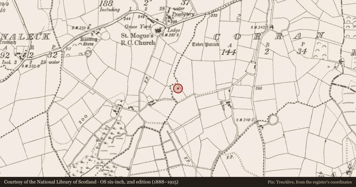 Ordnance Survey six-inch map, 2nd edition (1888–1915) covering the location of Ringfort - rath, Corran, County Cavan, with a pin at the register's coordinates