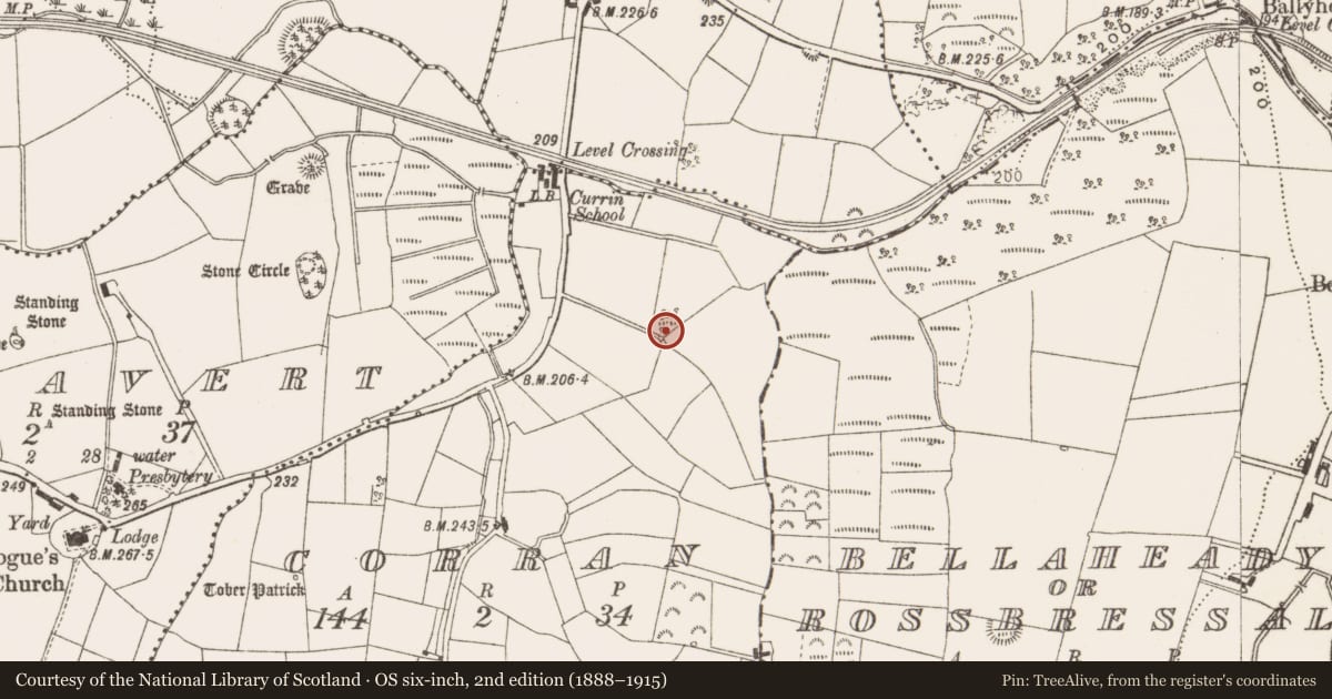 Ordnance Survey six-inch map, 2nd edition (1888–1915) covering the location of Barrow - unclassified, Corran, County Cavan, with a pin at the register's coordinates