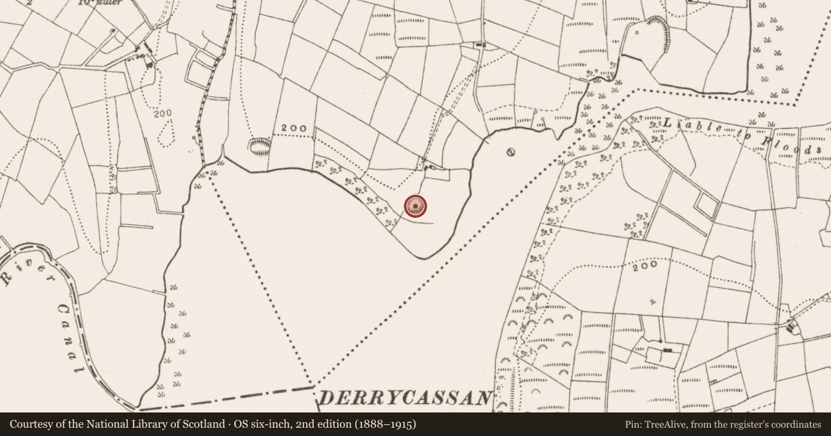 Ordnance Survey six-inch map, 2nd edition (1888–1915) covering the location of Ringfort - rath, Derrycassan, County Cavan, with a pin at the register's coordinates