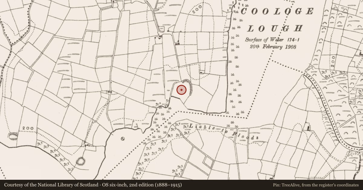 Ordnance Survey six-inch map, 2nd edition (1888–1915) covering the location of Ringfort - rath, Derrycassan, County Cavan, with a pin at the register's coordinates