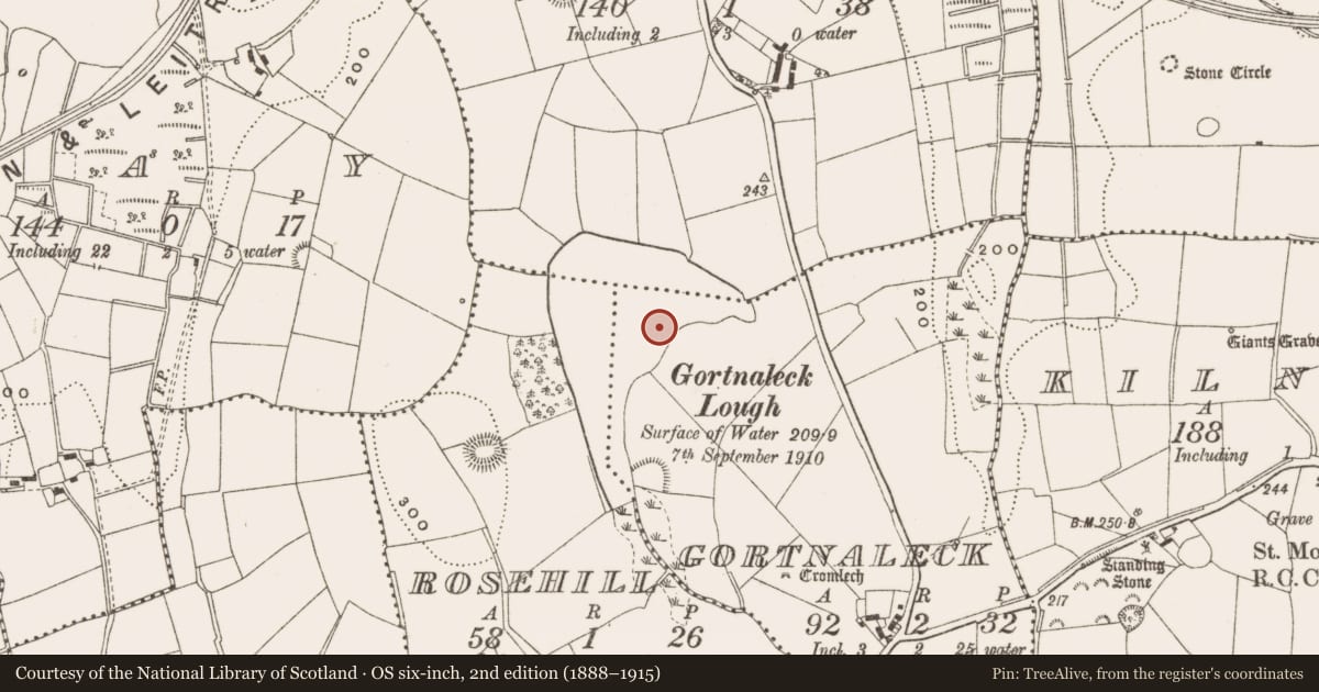Ordnance Survey six-inch map, 2nd edition (1888–1915) covering the location of Crannog, Gortnaleck, County Cavan, with a pin at the register's coordinates