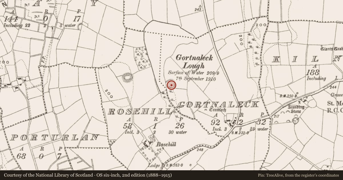 Ordnance Survey six-inch map, 2nd edition (1888–1915) covering the location of Ringfort - rath, Gortnaleck, County Cavan, with a pin at the register's coordinates