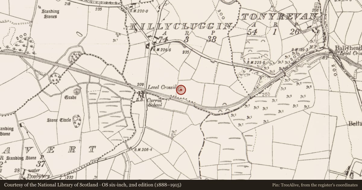 Ordnance Survey six-inch map, 2nd edition (1888–1915) covering the location of Stone sculpture - aniconic, Killycluggin, County Cavan, with a pin at the register's coordinates