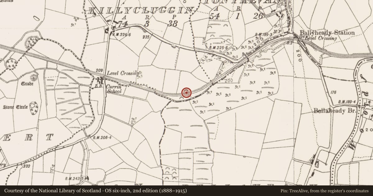 Ordnance Survey six-inch map, 2nd edition (1888–1915) covering the location of Ringfort - rath, Killycluggin, County Cavan, with a pin at the register's coordinates