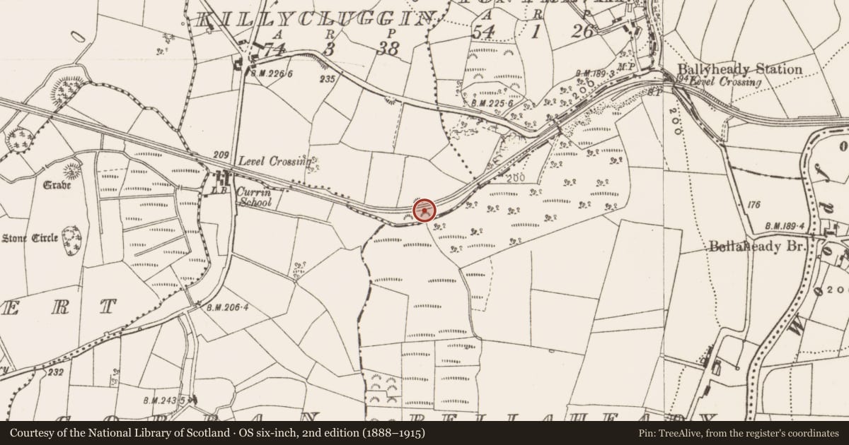 Ordnance Survey six-inch map, 2nd edition (1888–1915) covering the location of Souterrain, Killycluggin, County Cavan, with a pin at the register's coordinates