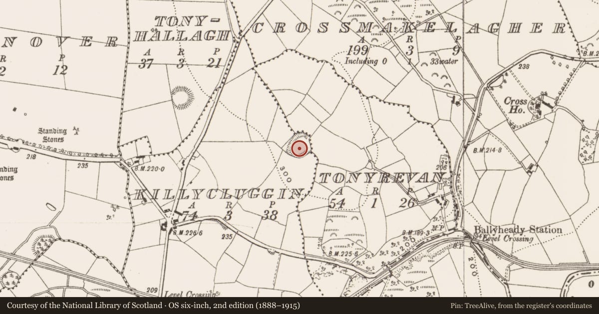 Ordnance Survey six-inch map, 2nd edition (1888–1915) covering the location of Ringfort - rath, Killycluggin, County Cavan, with a pin at the register's coordinates
