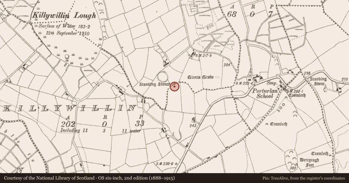 Ordnance Survey six-inch map, 2nd edition (1888–1915) covering the location of Stone row, Killymoriarty, County Cavan, with a pin at the register's coordinates
