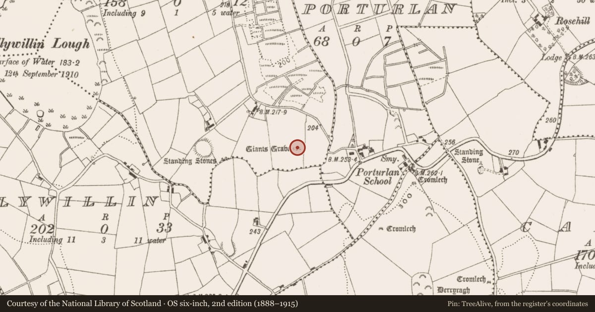 Ordnance Survey six-inch map, 2nd edition (1888–1915) covering the location of Megalithic tomb - court tomb, Killymoriarty, County Cavan, with a pin at the register's coordinates