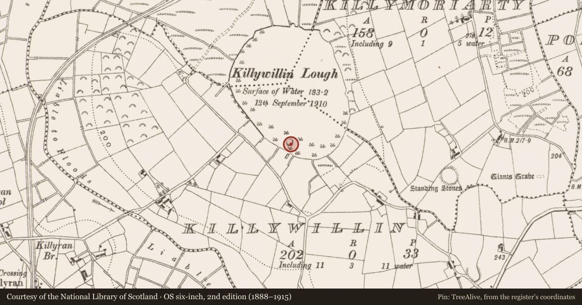 Ordnance Survey six-inch map, 2nd edition (1888–1915) covering the location of Crannog, Killywillin, County Cavan, with a pin at the register's coordinates