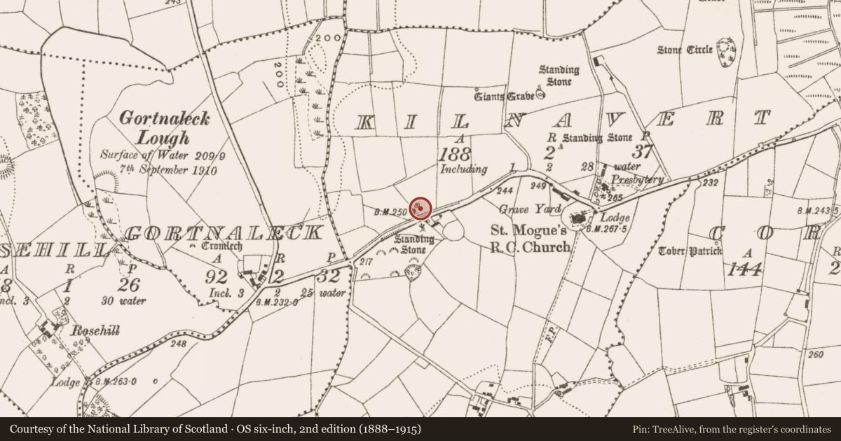 Ordnance Survey six-inch map, 2nd edition (1888–1915) covering the location of Standing stone, Kilnavert, County Cavan, with a pin at the register's coordinates