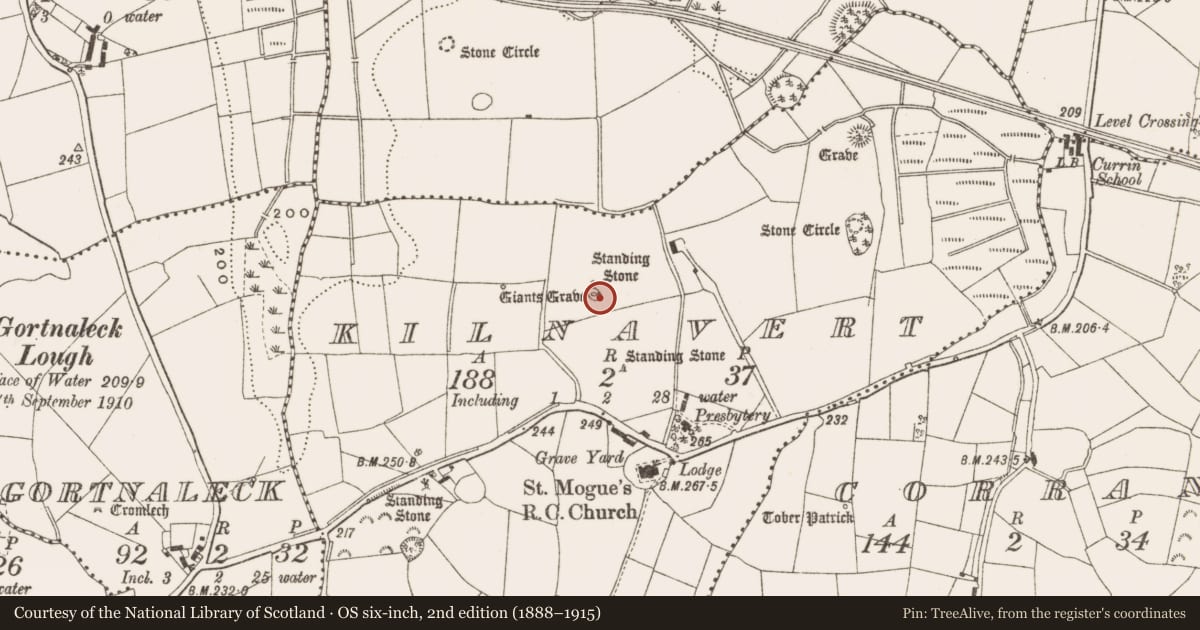 Ordnance Survey six-inch map, 2nd edition (1888–1915) covering the location of Megalithic tomb - wedge tomb, Kilnavert, County Cavan, with a pin at the register's coordinates