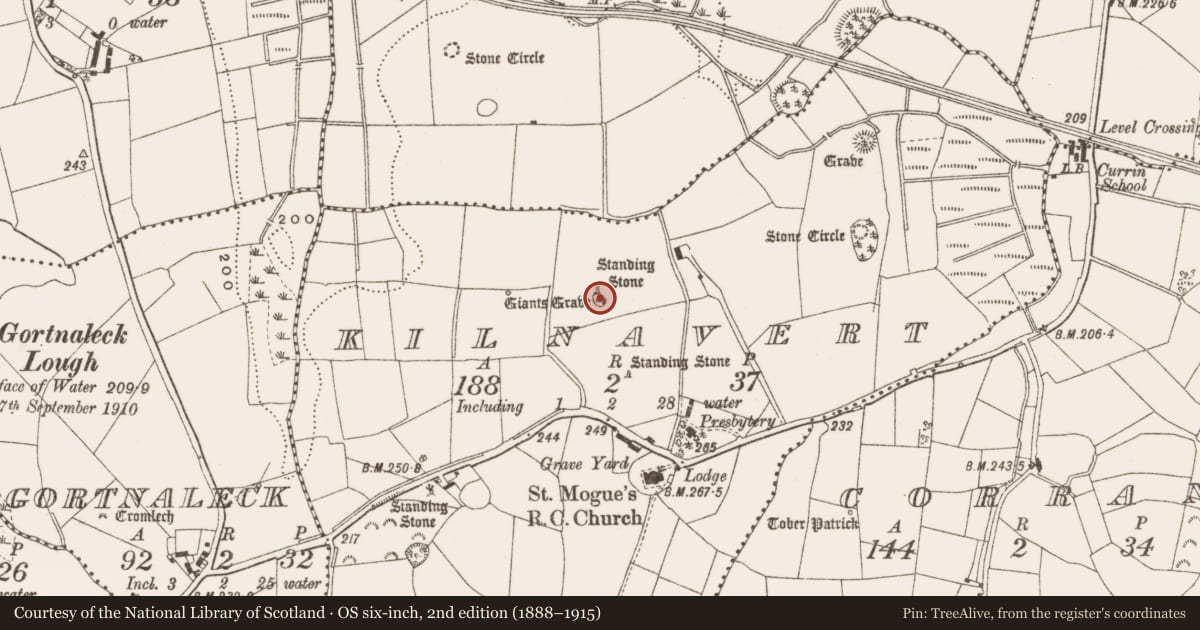 Ordnance Survey six-inch map, 2nd edition (1888–1915) covering the location of Standing stone, Kilnavert, County Cavan, with a pin at the register's coordinates