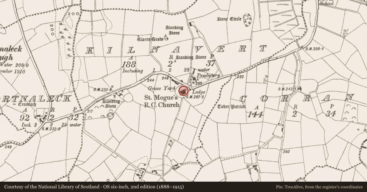Ordnance Survey six-inch map, 2nd edition (1888–1915) covering the location of Graveyard, Kilnavert, County Cavan, with a pin at the register's coordinates