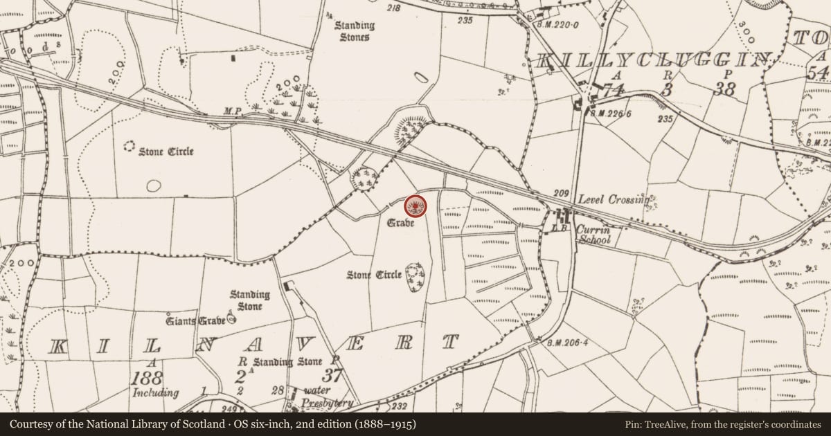 Ordnance Survey six-inch map, 2nd edition (1888–1915) covering the location of Barrow - unclassified, Kilnavert, County Cavan, with a pin at the register's coordinates