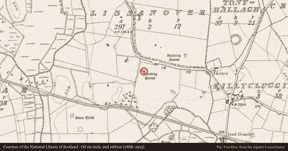 Ordnance Survey six-inch map, 2nd edition (1888–1915) covering the location of Stone row, Lissanover, County Cavan, with a pin at the register's coordinates