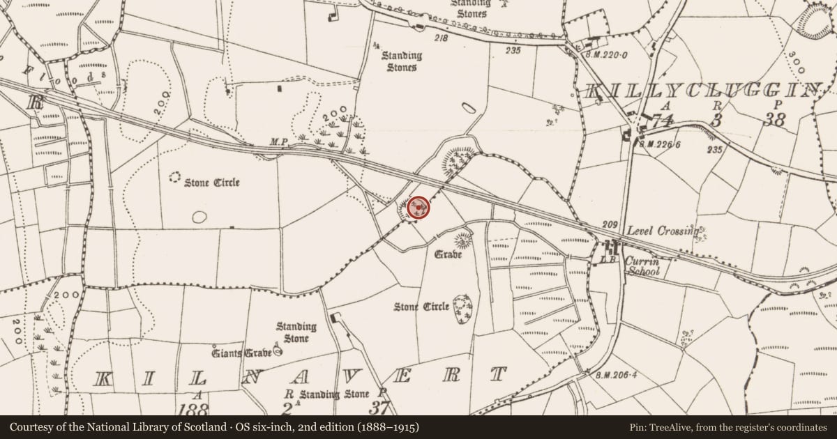 Ordnance Survey six-inch map, 2nd edition (1888–1915) covering the location of Ringfort - rath, Lissanover, County Cavan, with a pin at the register's coordinates