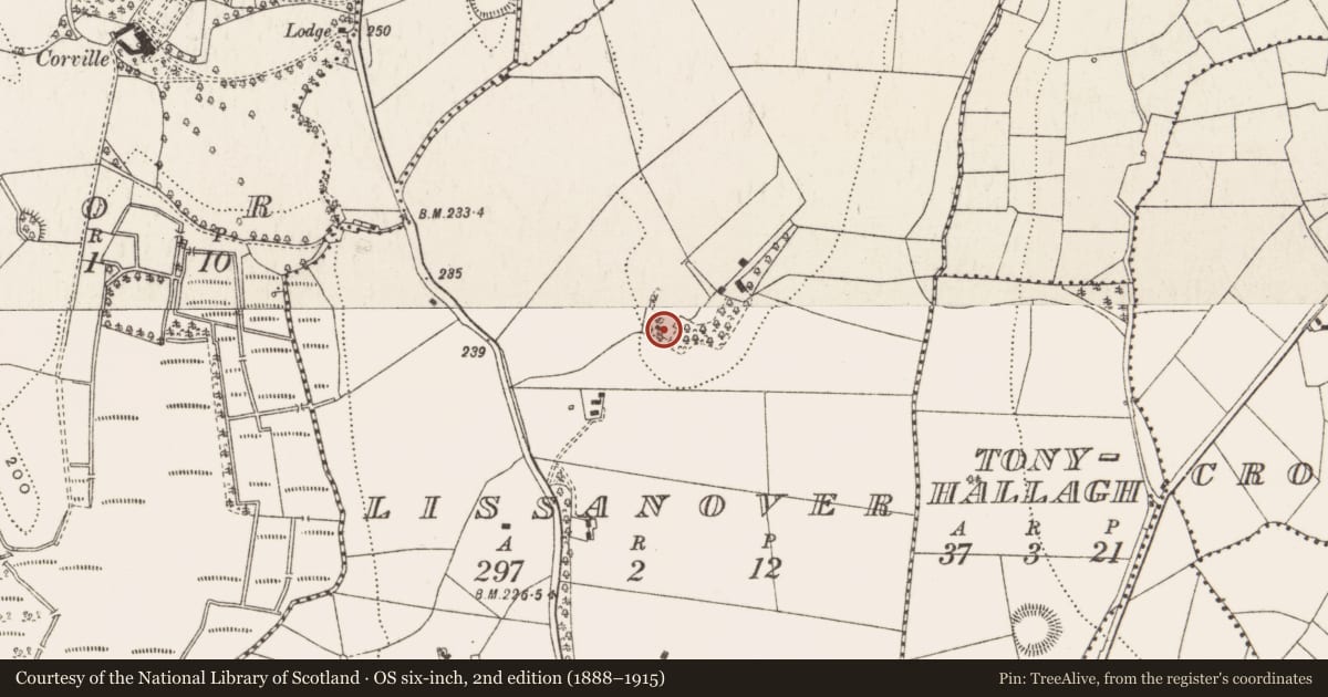 Ordnance Survey six-inch map, 2nd edition (1888–1915) covering the location of Castle - unclassified, Lissanover, County Cavan, with a pin at the register's coordinates