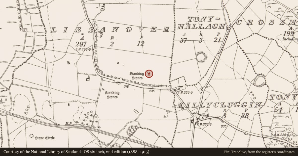 Ordnance Survey six-inch map, 2nd edition (1888–1915) covering the location of Stone row, Lissanover, County Cavan, with a pin at the register's coordinates
