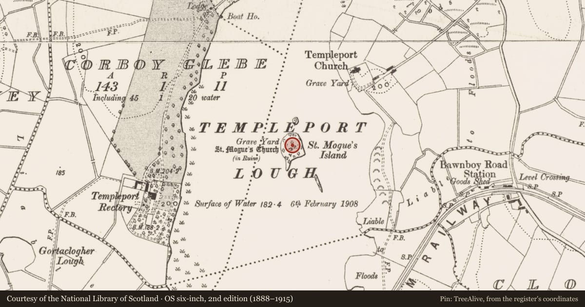 Ordnance Survey six-inch map, 2nd edition (1888–1915) covering the location of Graveyard, Port, County Cavan, with a pin at the register's coordinates