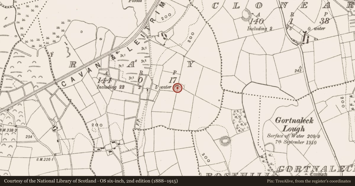 Ordnance Survey six-inch map, 2nd edition (1888–1915) covering the location of Ringfort - rath, Ray, County Cavan, with a pin at the register's coordinates
