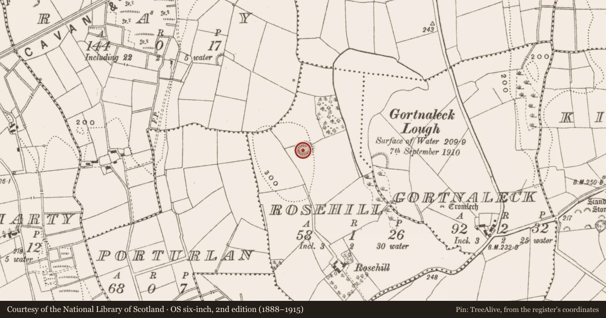 Ordnance Survey six-inch map, 2nd edition (1888–1915) covering the location of Ringfort - rath, Rosehill, County Cavan, with a pin at the register's coordinates