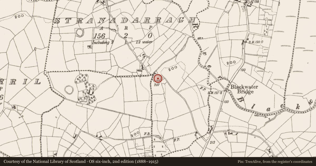 Ordnance Survey six-inch map, 2nd edition (1888–1915) covering the location of Ringfort - rath, Stranadarragh, County Cavan, with a pin at the register's coordinates