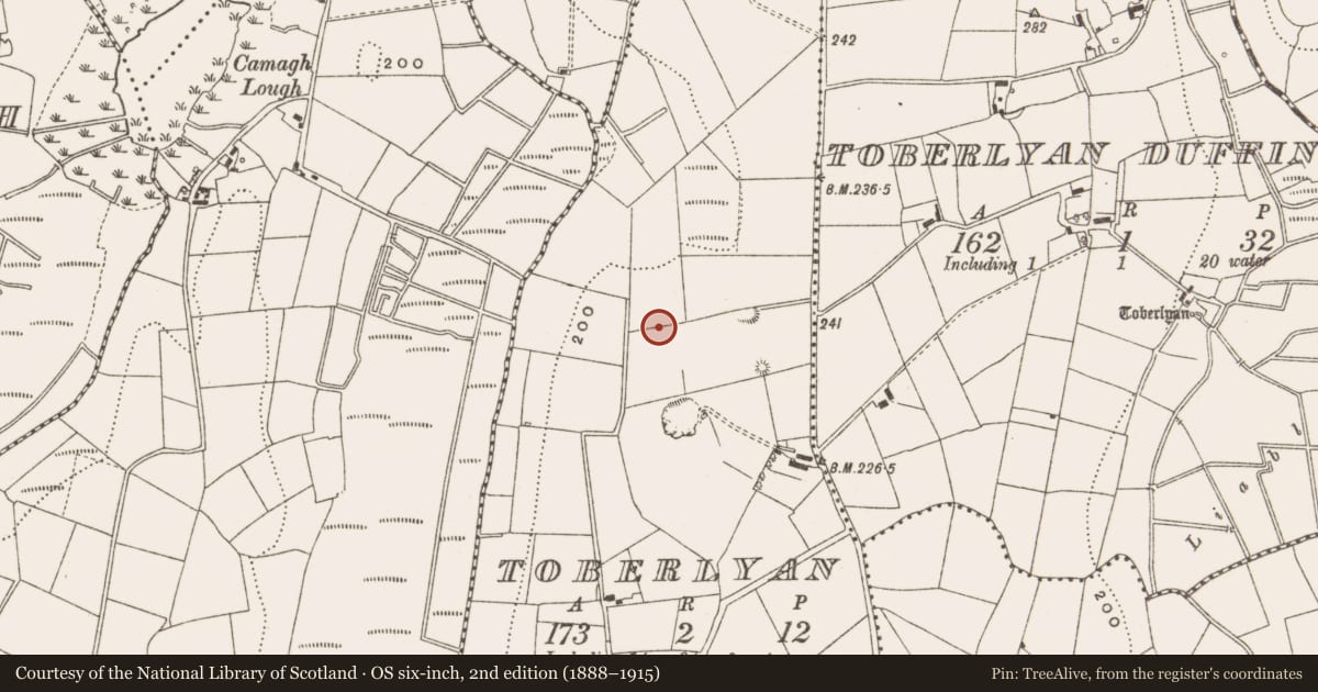Ordnance Survey six-inch map, 2nd edition (1888–1915) covering the location of Standing stone, Toberlyan, County Cavan, with a pin at the register's coordinates