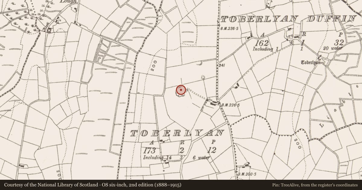 Ordnance Survey six-inch map, 2nd edition (1888–1915) covering the location of Standing stone (present location), Toberlyan, County Cavan, with a pin at the register's coordinates