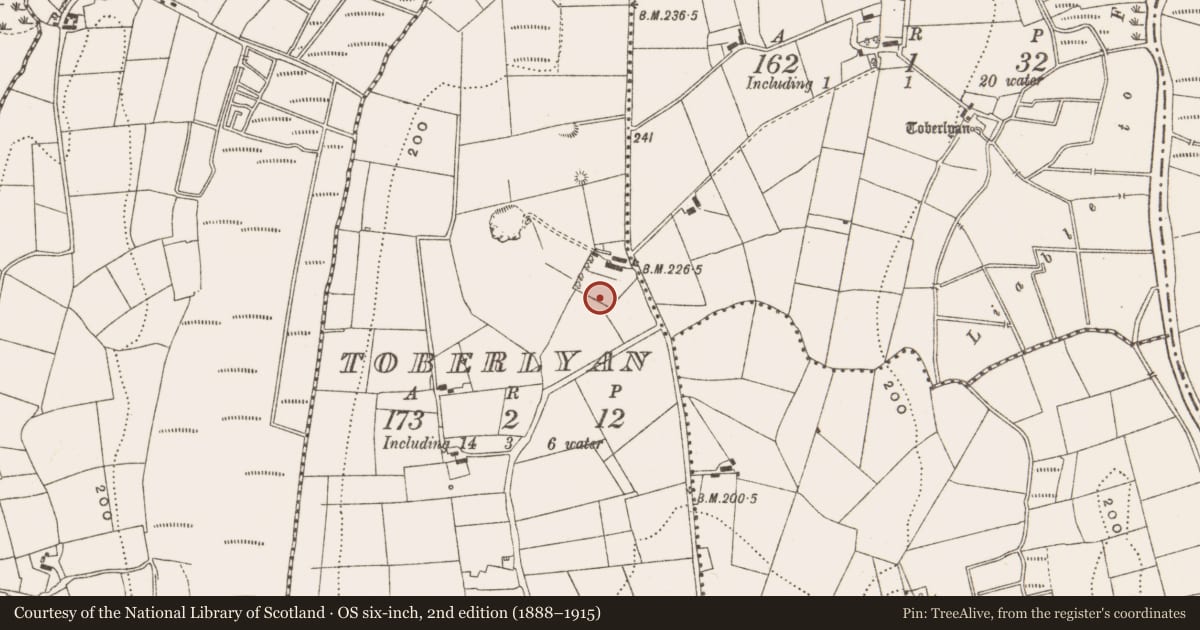 Ordnance Survey six-inch map, 2nd edition (1888–1915) covering the location of Standing stone, Toberlyan, County Cavan, with a pin at the register's coordinates