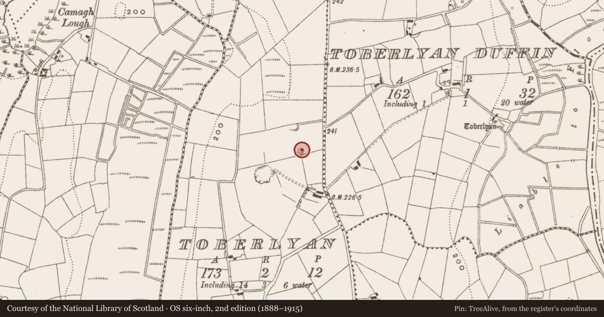Ordnance Survey six-inch map, 2nd edition (1888–1915) covering the location of Barrow - unclassified, Toberlyan, County Cavan, with a pin at the register's coordinates