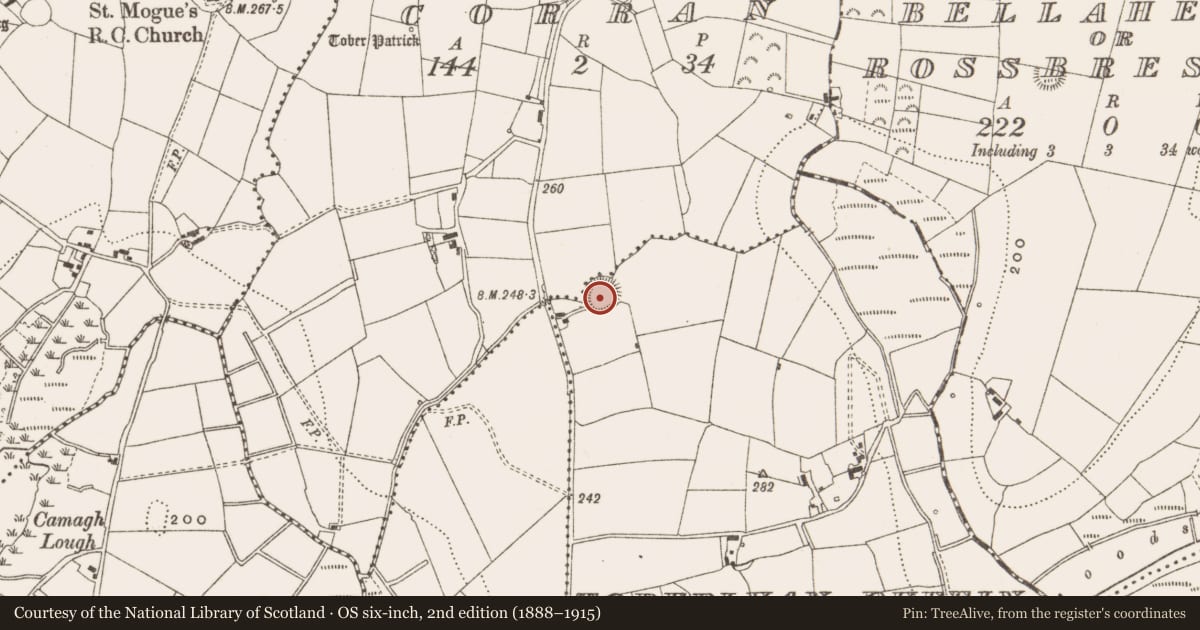 Ordnance Survey six-inch map, 2nd edition (1888–1915) covering the location of Ringfort - rath, Toberlyan Duffin, County Cavan, with a pin at the register's coordinates