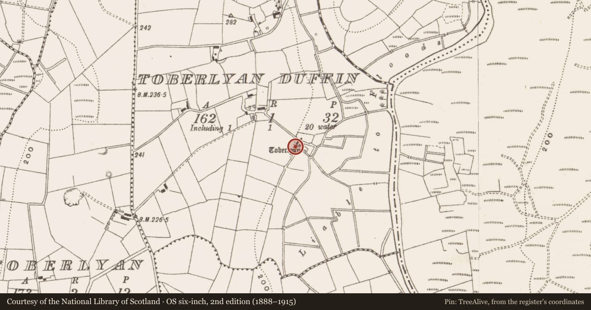Ordnance Survey six-inch map, 2nd edition (1888–1915) covering the location of Bullaun stone, Toberlyan Duffin, County Cavan, with a pin at the register's coordinates