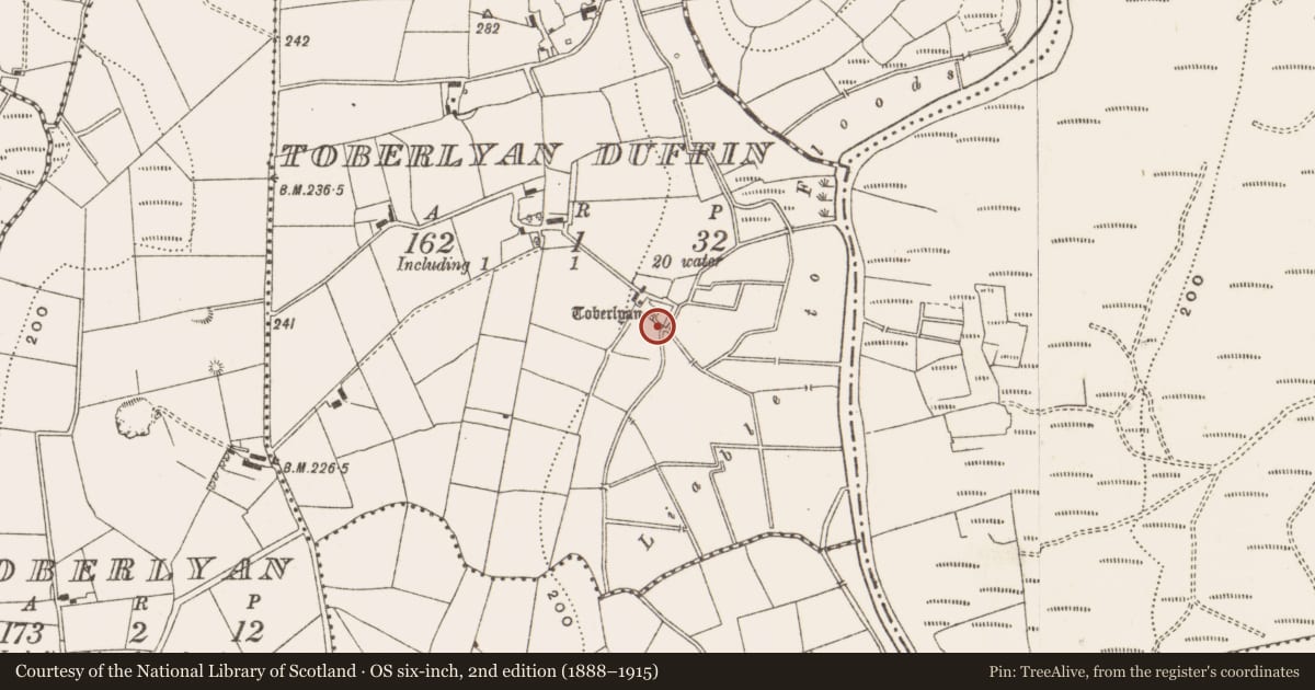 Ordnance Survey six-inch map, 2nd edition (1888–1915) covering the location of Bullaun stone (present location), Toberlyan Duffin, County Cavan, with a pin at the register's coordinates