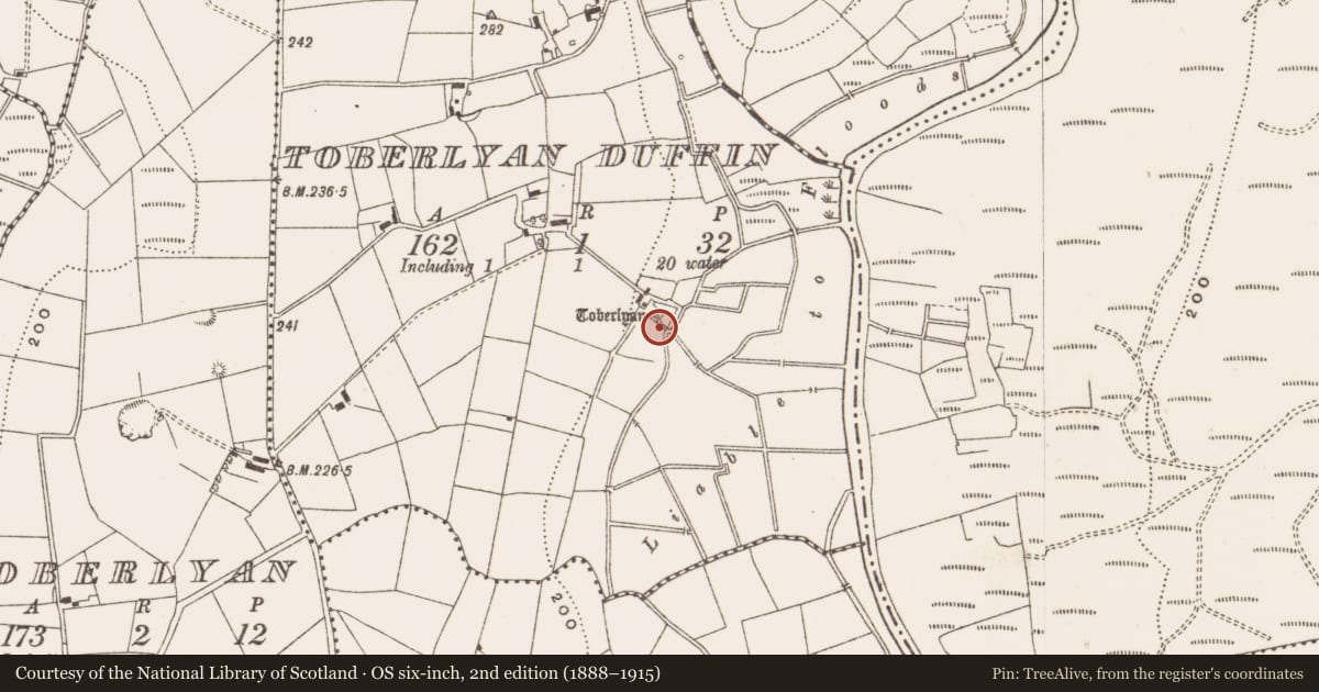 Ordnance Survey six-inch map, 2nd edition (1888–1915) covering the location of Penitential station, Toberlyan Duffin, County Cavan, with a pin at the register's coordinates