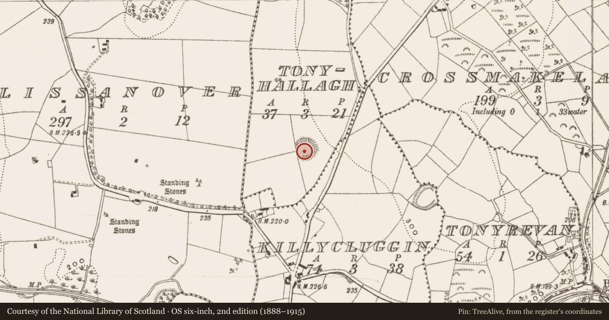 Ordnance Survey six-inch map, 2nd edition (1888–1915) covering the location of Ringfort - rath, Tonyhallagh, County Cavan, with a pin at the register's coordinates