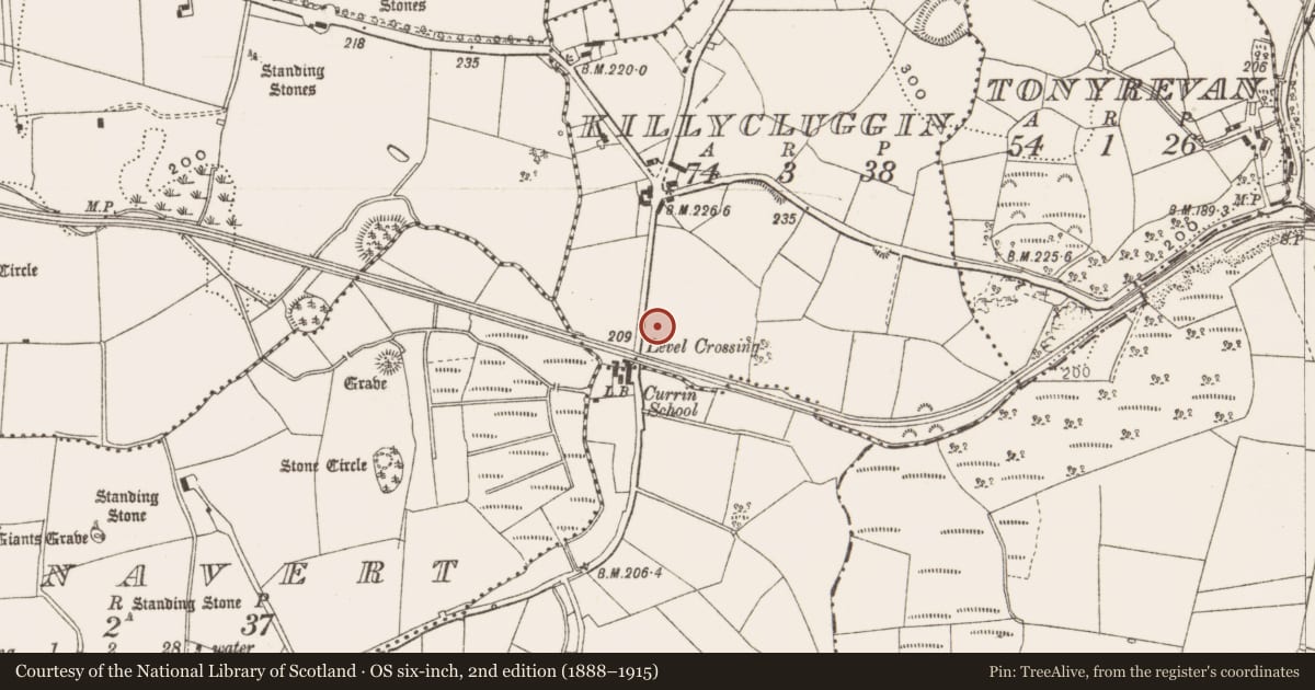 Ordnance Survey six-inch map, 2nd edition (1888–1915) covering the location of Megalithic structure, Killycluggin, County Cavan, with a pin at the register's coordinates