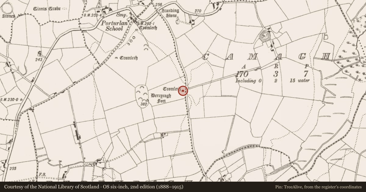 Ordnance Survey six-inch map, 2nd edition (1888–1915) covering the location of Megalithic structure, Derryragh, County Cavan, with a pin at the register's coordinates
