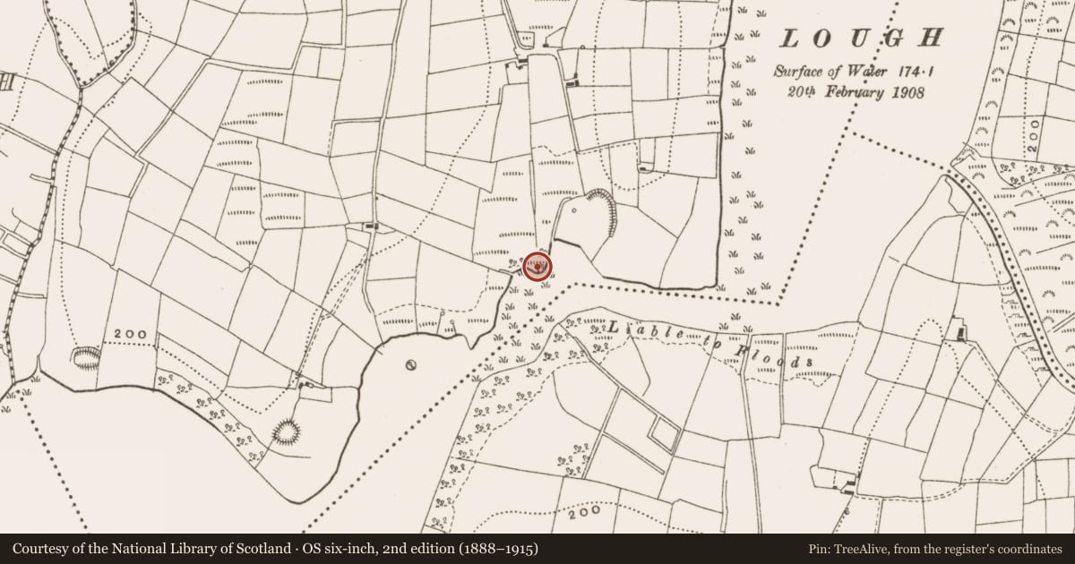 Ordnance Survey six-inch map, 2nd edition (1888–1915) covering the location of Crannog, Derrycassan, County Cavan, with a pin at the register's coordinates