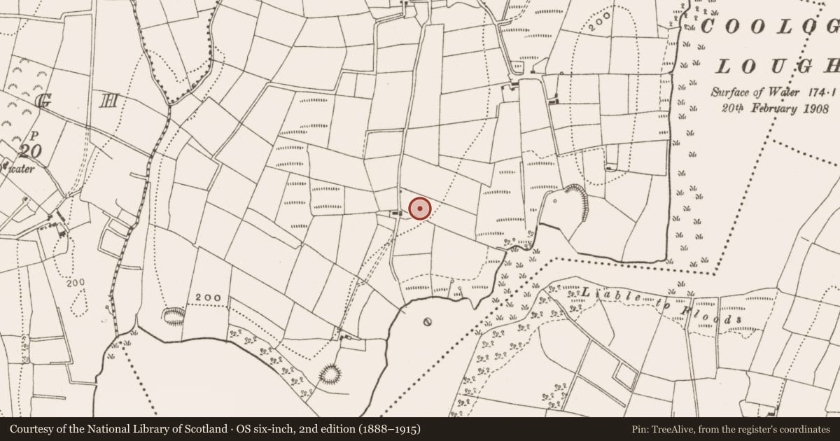 Ordnance Survey six-inch map, 2nd edition (1888–1915) covering the location of Bullaun stone, Derrycassan, County Cavan, with a pin at the register's coordinates