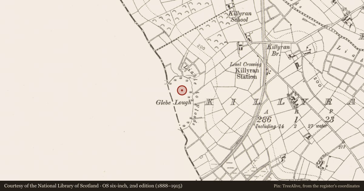 Ordnance Survey six-inch map, 2nd edition (1888–1915) covering the location of Crannog, Killyran, County Cavan, with a pin at the register's coordinates