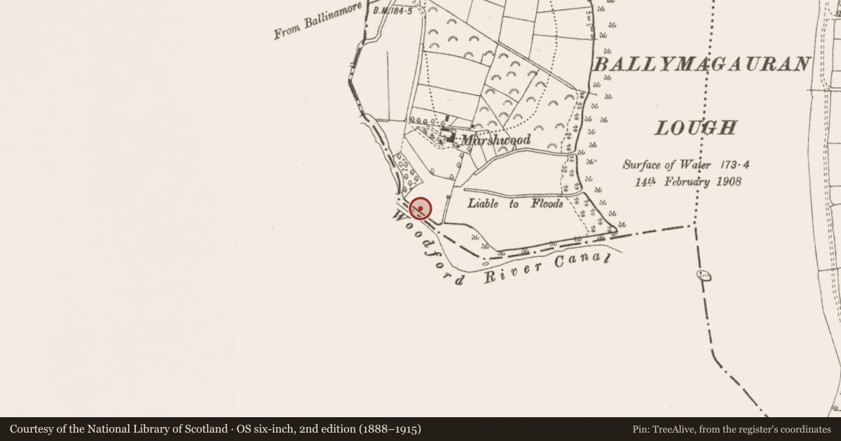 Ordnance Survey six-inch map, 2nd edition (1888–1915) covering the location of Bridge, Ballymagauran, County Cavan, with a pin at the register's coordinates