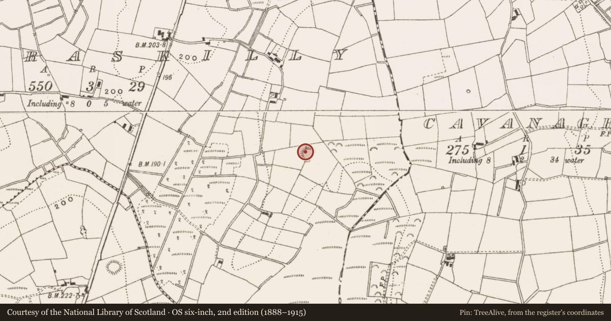 Ordnance Survey six-inch map, 2nd edition (1888–1915) covering the location of Ringfort - rath, Agharaskilly, County Cavan, with a pin at the register's coordinates