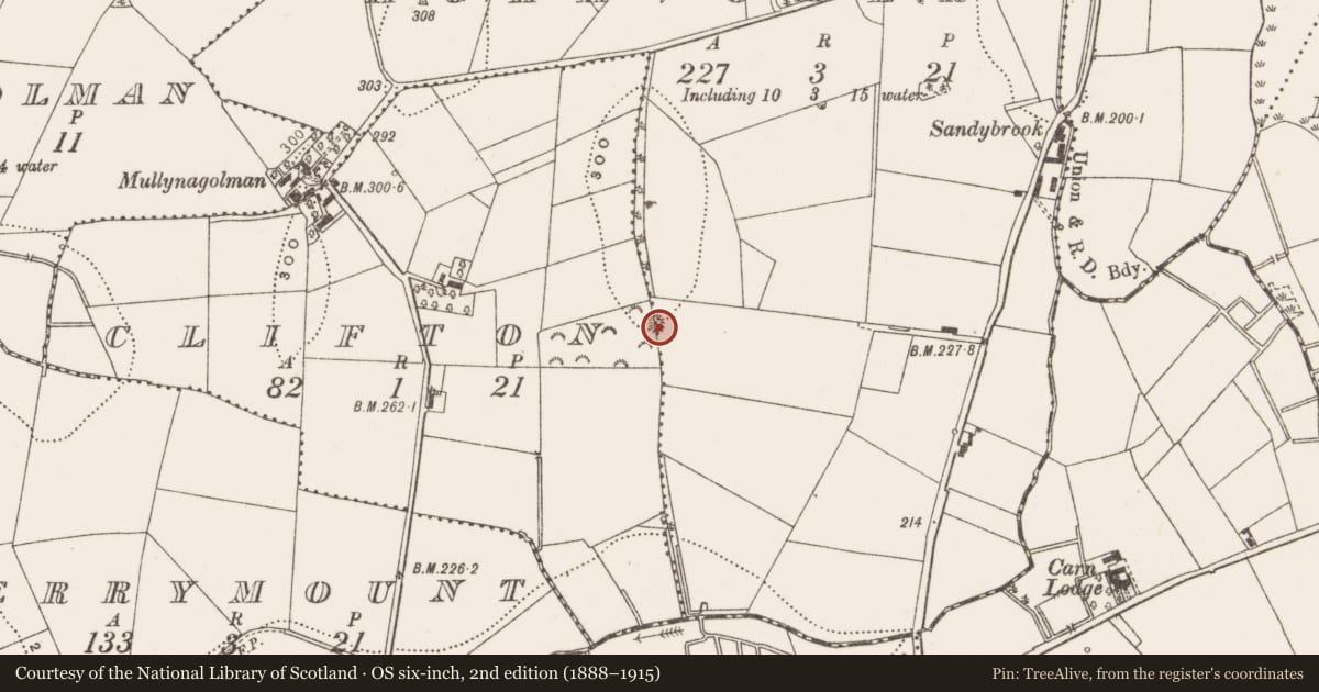 Ordnance Survey six-inch map, 2nd edition (1888–1915) covering the location of Barrow - unclassified, Aghavoher, Clifton, County Cavan, with a pin at the register's coordinates